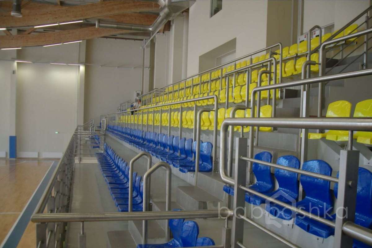 SDC15401 баскетбол 