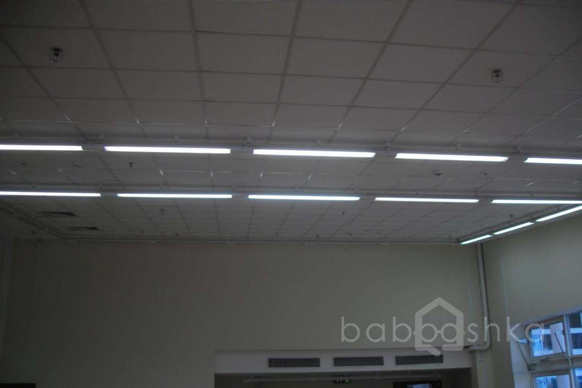 SDC15418 баскетбол 