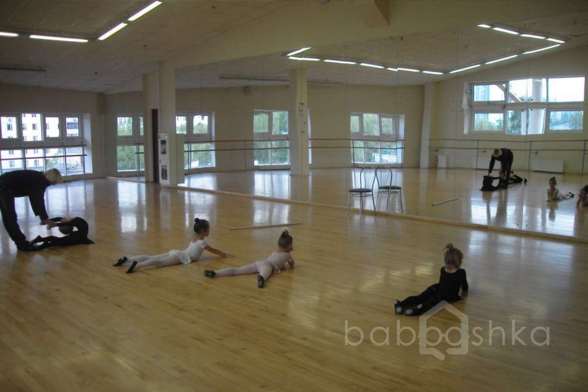 SDC15421 баскетбол 