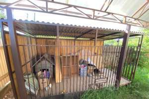 00db0587-a10a-49a8-8150-202266a57aae дома Съёмки Москва