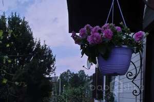 6c483d11-4031-4bba-8e71-3dc9486dd918 дома Съёмки Москва