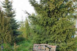 7bd04e98-e9bc-4243-b2ff-5d4448157432 дома Съёмки Москва