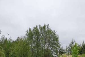 e3d887b9-0175-43ee-9735-aba8731f4d49 дома Съёмки Москва