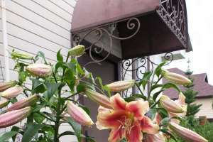 ffad7774-8785-43d9-b7ea-734d8abd22d0 дома Съёмки Москва