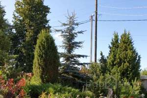 737af472-9abc-4e75-b7b3-8998e503ffb3 дома Съёмки Москва