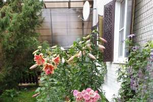 342a9583-96dd-4664-9973-08851668c3a0 дома Съёмки Москва