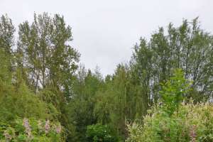 cb5c75e3-e087-4646-9409-7bbcf05a6537 дома Съёмки Москва