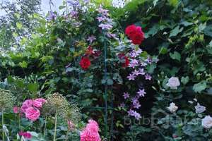 d3b7bf21-4594-4aef-8a71-f8f58d38483f дома Съёмки Москва