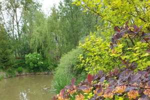 04847966-2e81-419c-9f84-7b295db2aa7c дома Съёмки Москва