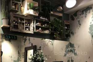 7745ECB2-C1E8-40A7-BC24-2ACE3B042D18. салоны красоты Съёмки Москва