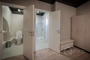 599F79A2-8B77-4139-B1BA-47C9F3B12839. конюшни Съёмки Москва