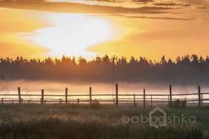 25AFED16-850E-4A09-A2F0-8795214BB825. конюшни Съёмки Москва