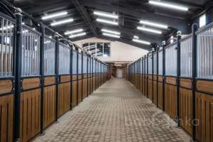 71571DB4-5E61-417A-8EC6-CBC549CC6EB7. конюшни Съёмки Москва