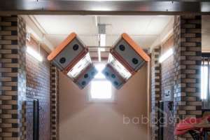 7302DC92-A28A-4A3A-8794-DF243FEEC2FA. конюшни Съёмки Москва