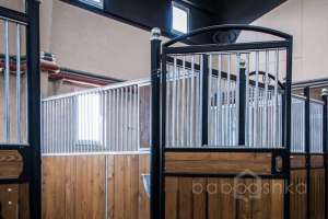 361BF1E1-505B-4811-A85F-CB09DDBF33CC. конюшни Съёмки Москва