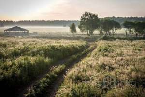 1B4BE1E4-1B23-4D21-B991-DA85FD69157C. конюшни Съёмки Москва