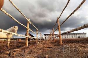 D9B5657F-F8EF-4245-96E6-EC1116041774. конюшни Съёмки Москва