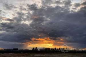 C6E0954A-0961-4E1E-8E2B-BA65A45CD995. конюшни Съёмки Москва