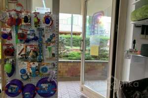 268690FF-D4A2-4C62-AA1A-A6E0E8DB8EF0. магазины Съёмки Москва