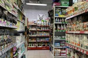 EEFE8CE8-84A3-486F-96AD-C05D51B70090. магазины Съёмки Москва