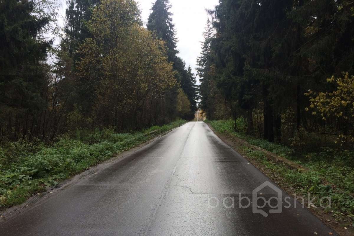 IMG_8648 дороги 