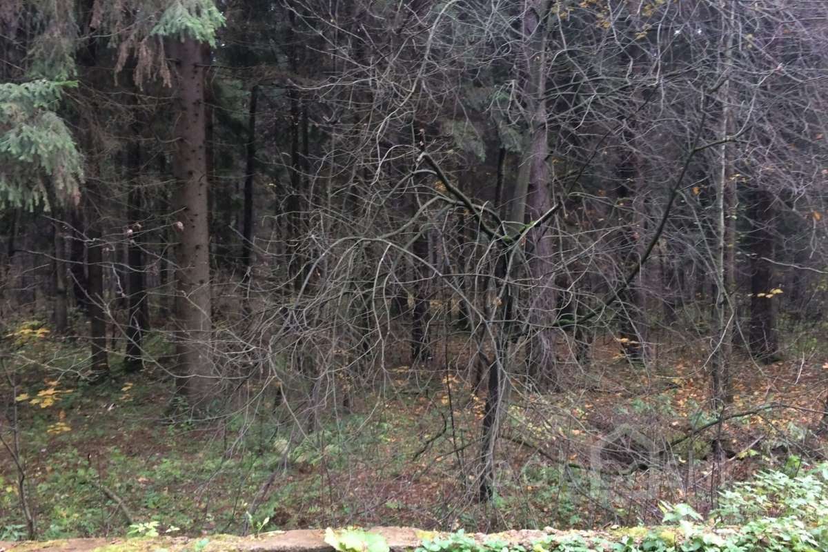 IMG_8652 дороги 