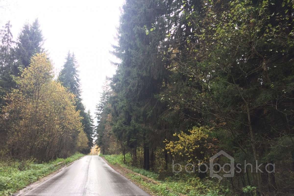 IMG_8654 дороги 