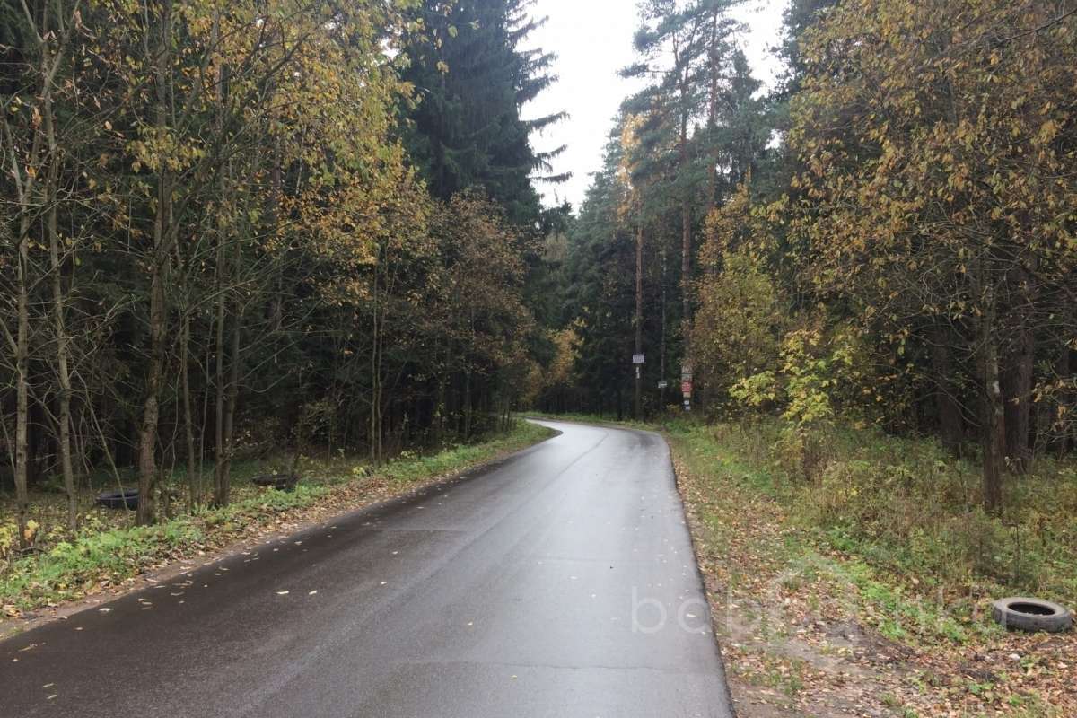 IMG_8642 дороги 