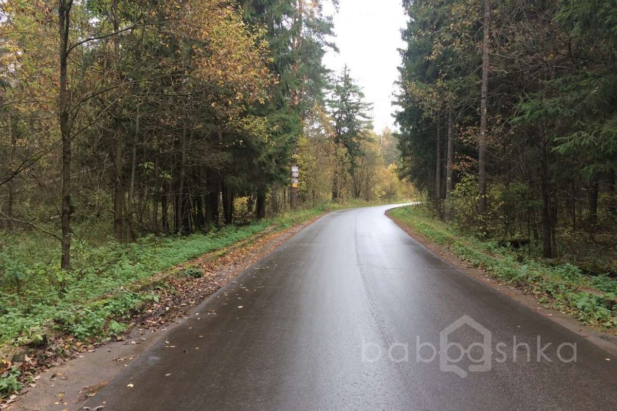 IMG_8649 дороги 