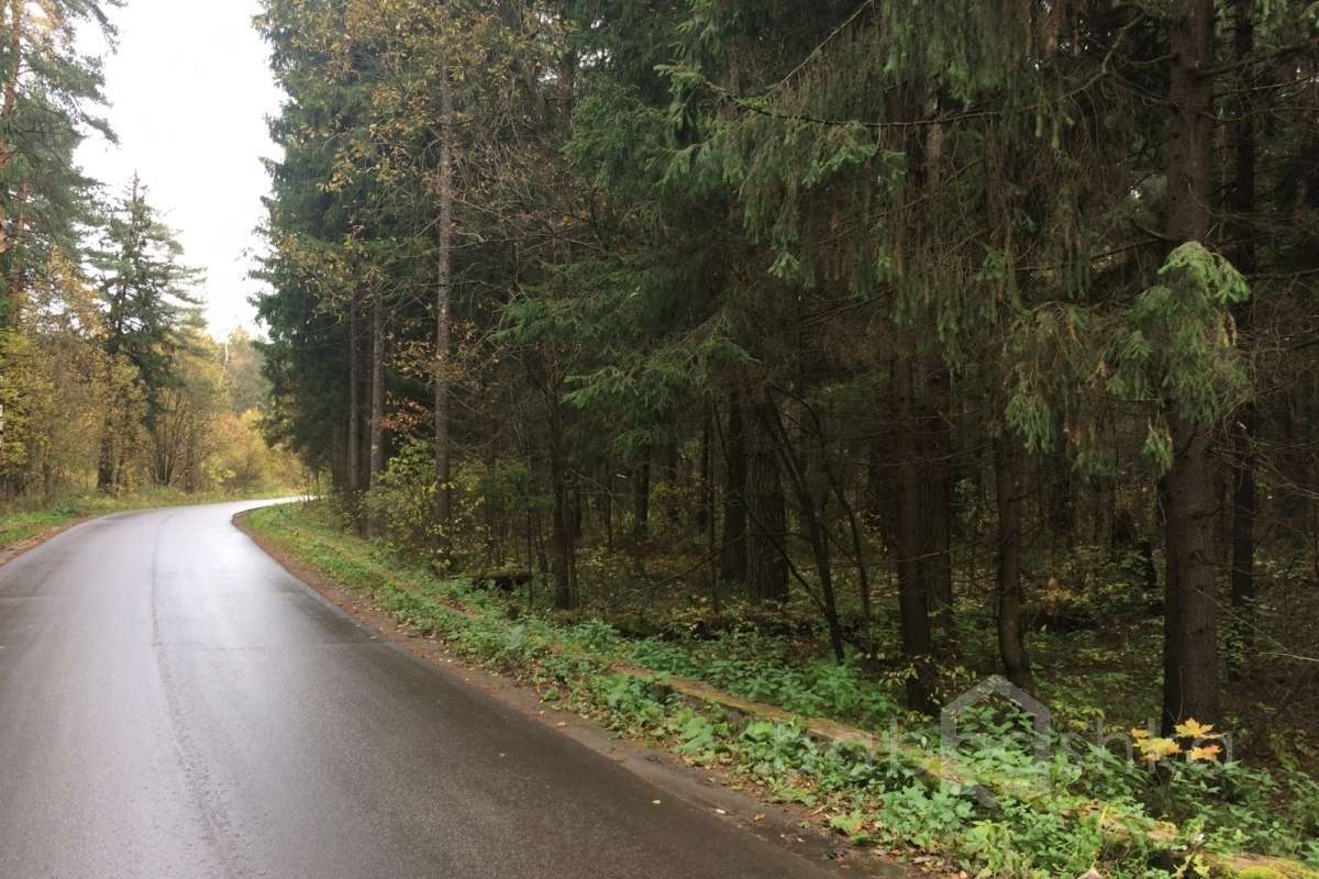 IMG_8651 дороги 