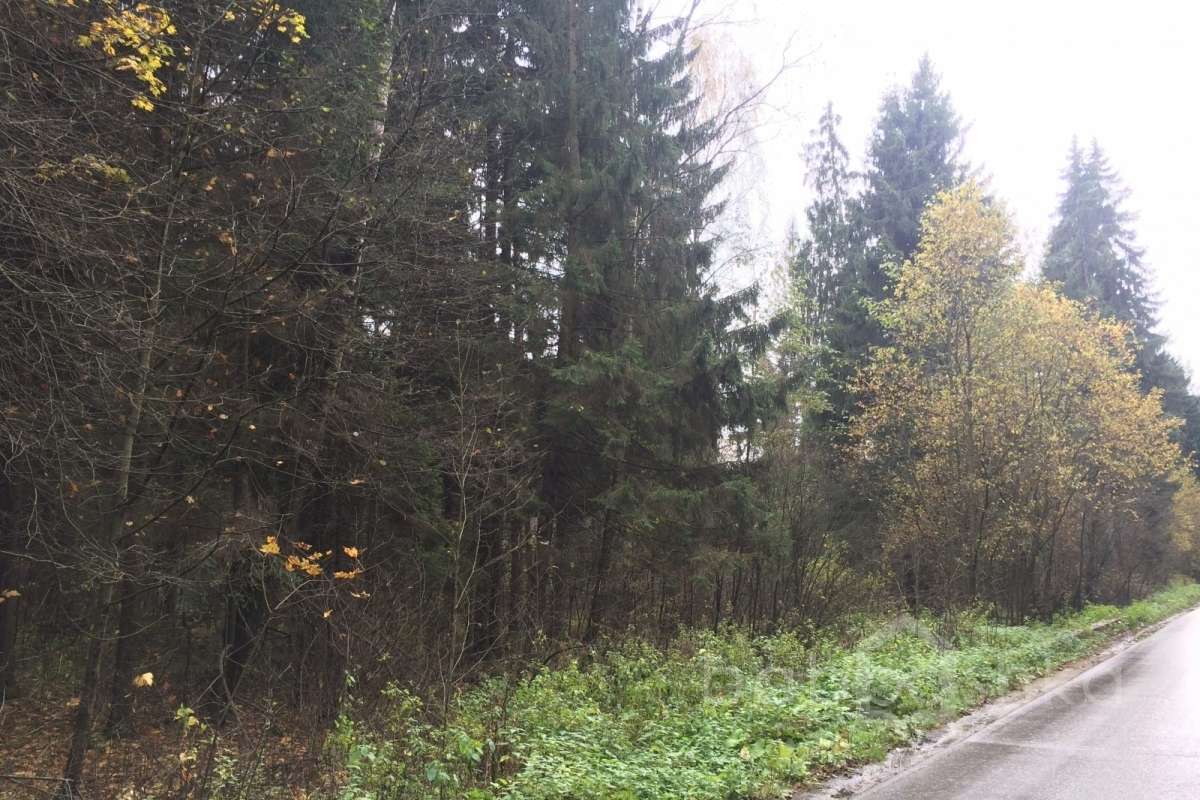 IMG_8653 дороги 