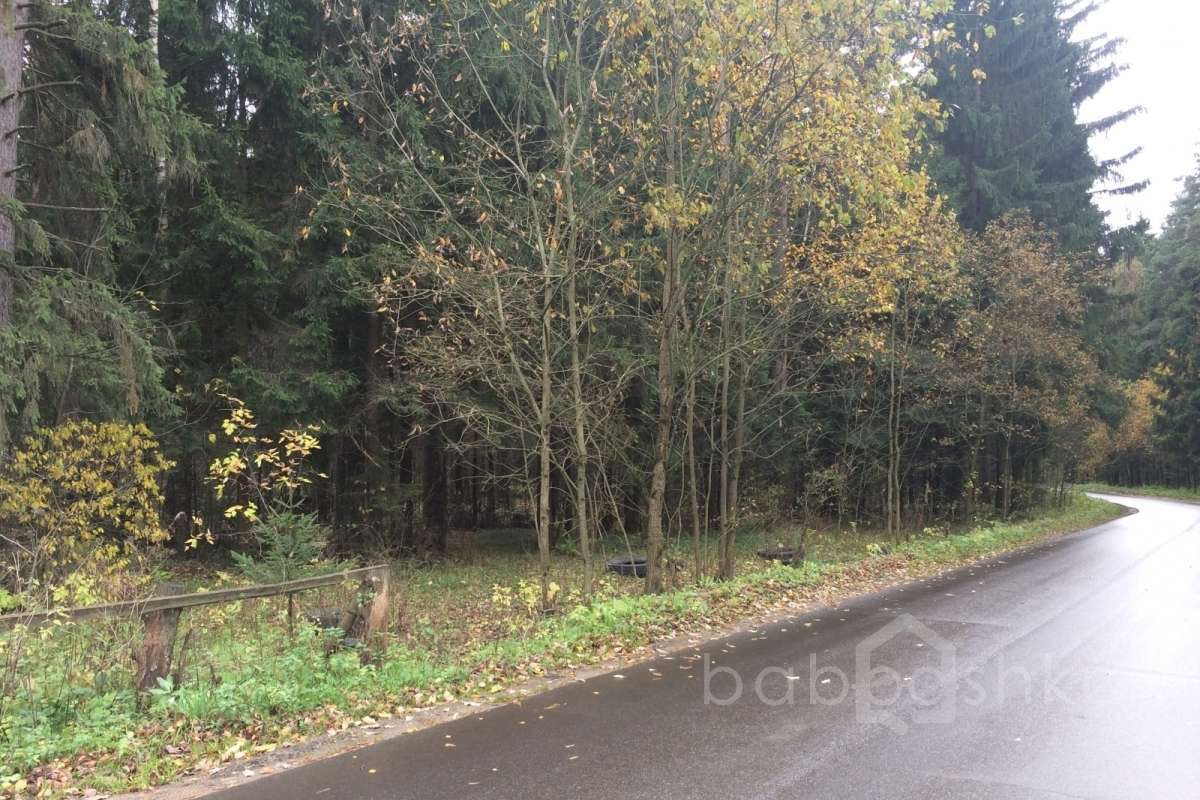 IMG_8643 дороги 