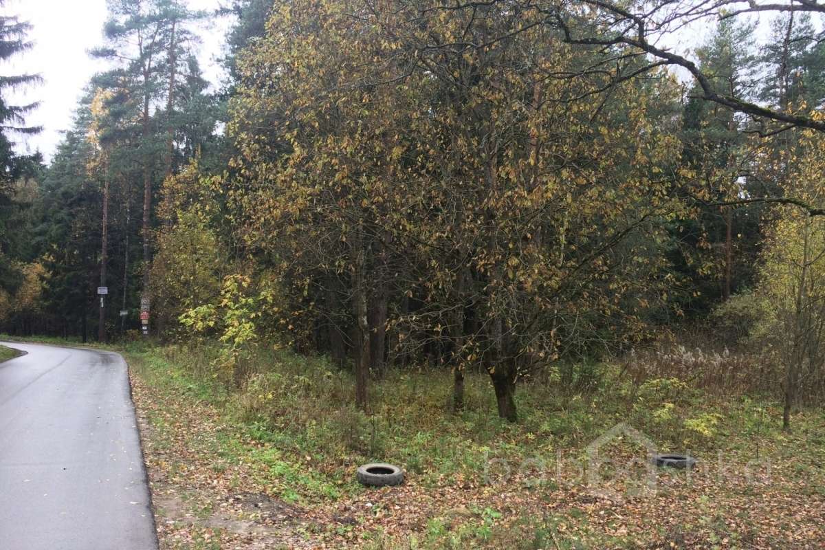 IMG_8644 дороги 