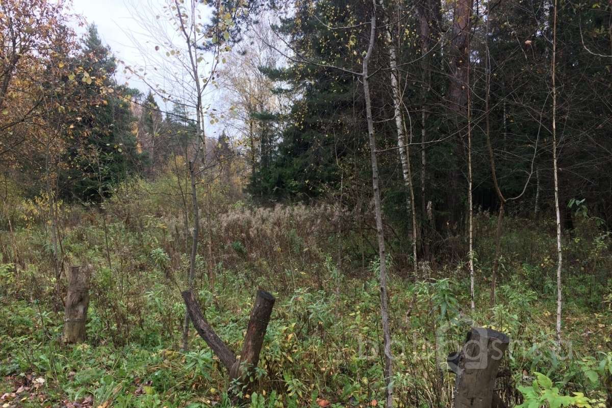 IMG_8647 дороги 