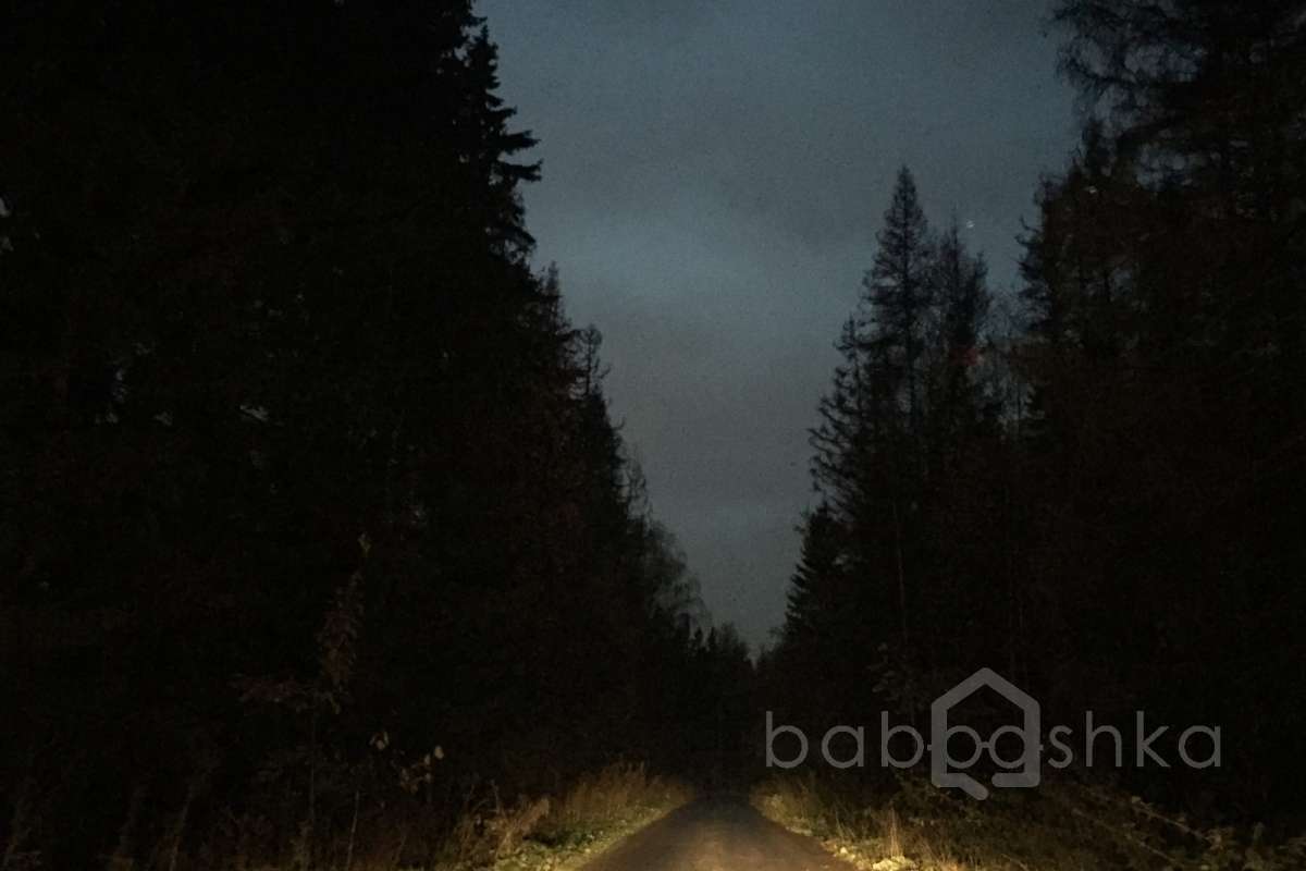 IMG_8534 дороги 