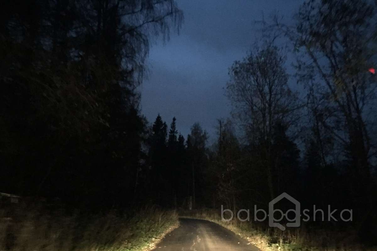 IMG_8535 дороги 