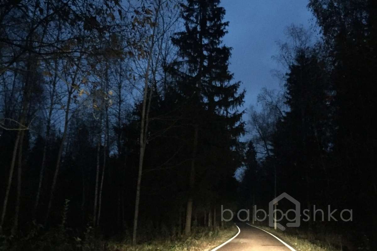 IMG_8525 дороги 