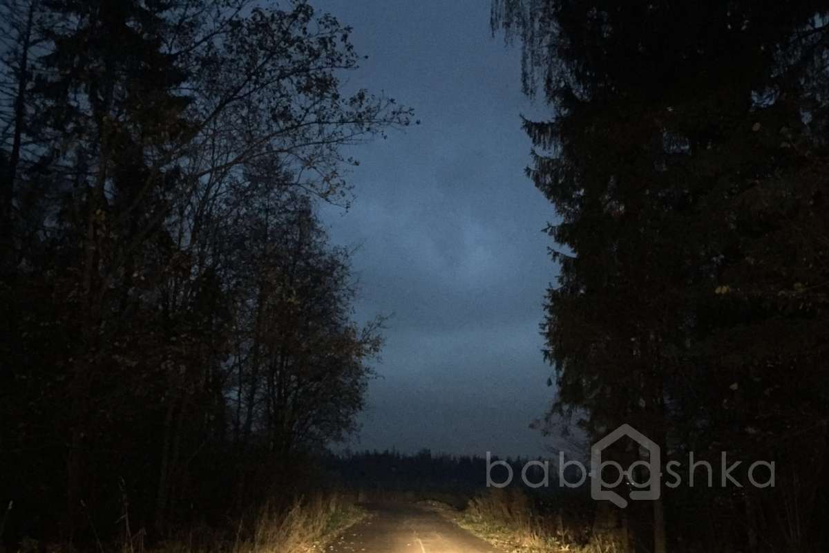 IMG_8529 дороги 