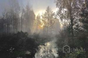 246B9E37-A477-402B-BAB9-73552060F2EC. дома Съёмки Москва