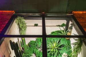 EEA82778-D0A7-446F-A33F-937A87F46207. площадки для мероприятий Съёмки Москва