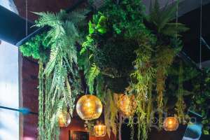 77CF3E74-C8D4-41AC-B55B-D172DE89C3F0. площадки для мероприятий Съёмки Москва