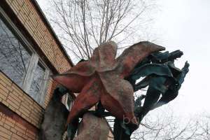 7413EDA6-A9CF-4440-A64A-8EADA030C85D. заброшенные здания Съёмки Москва