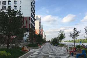 IMG_6290 территория Съёмки Москва