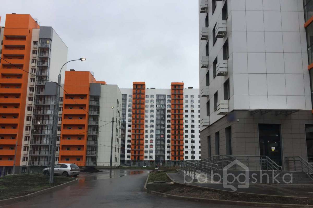 IMG_2214 территория 