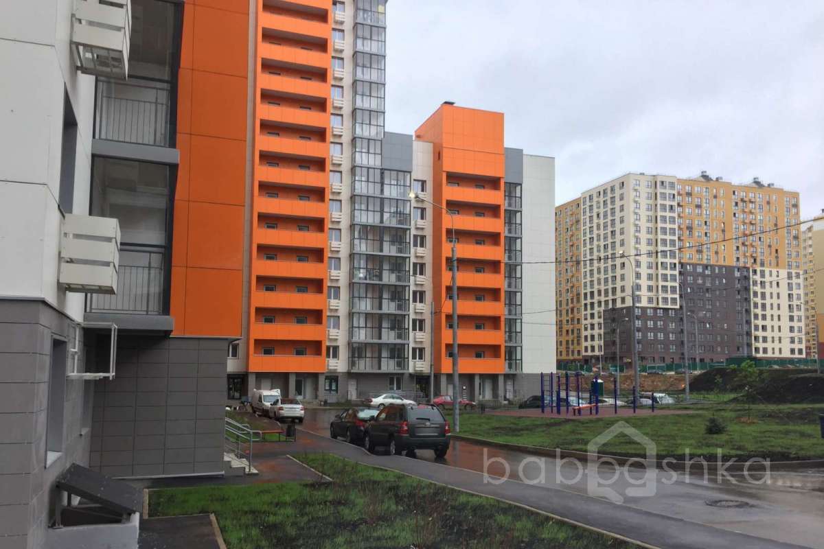 IMG_2216 территория 