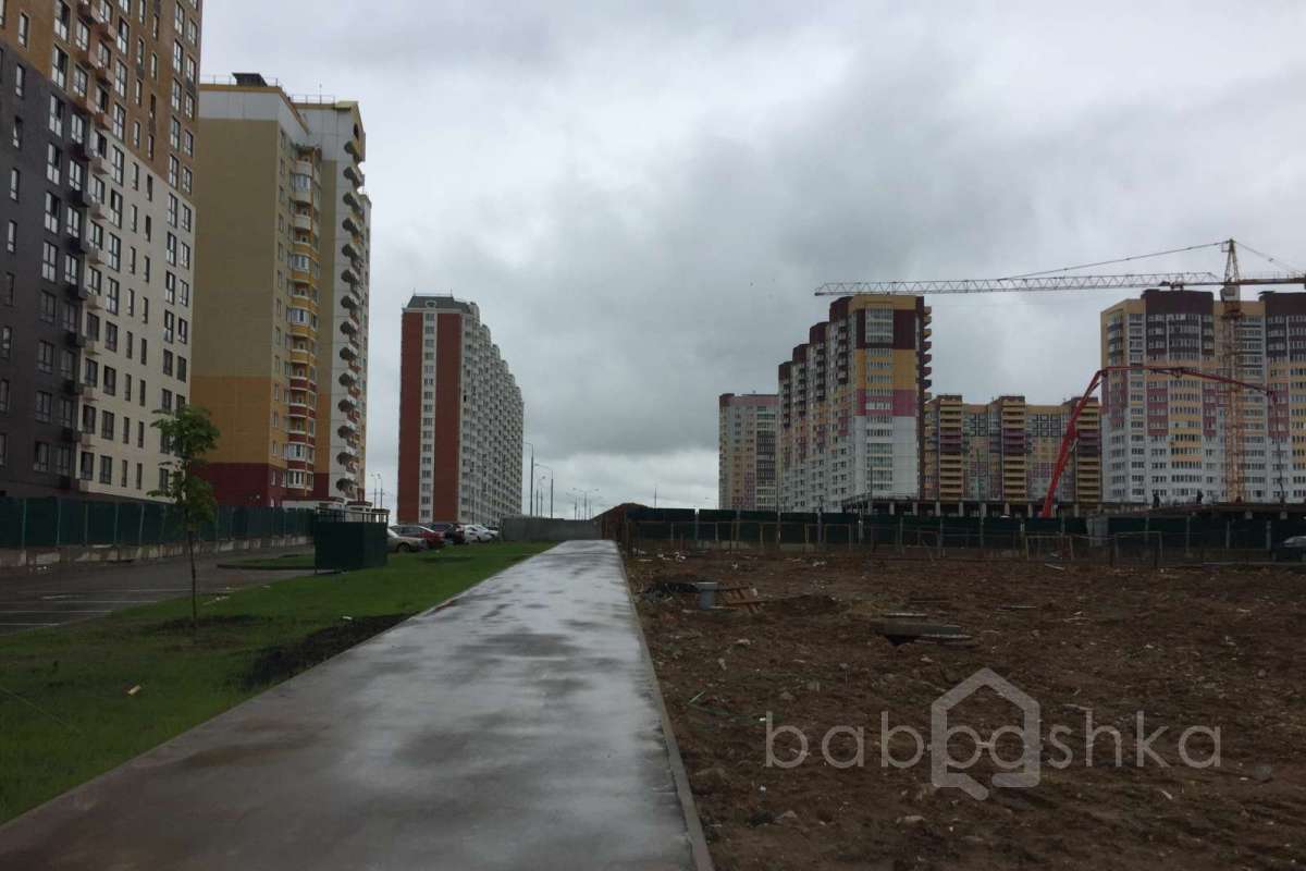 IMG_2222 территория 