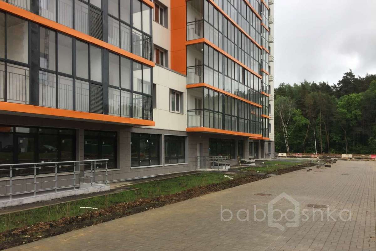 IMG_2219 территория 