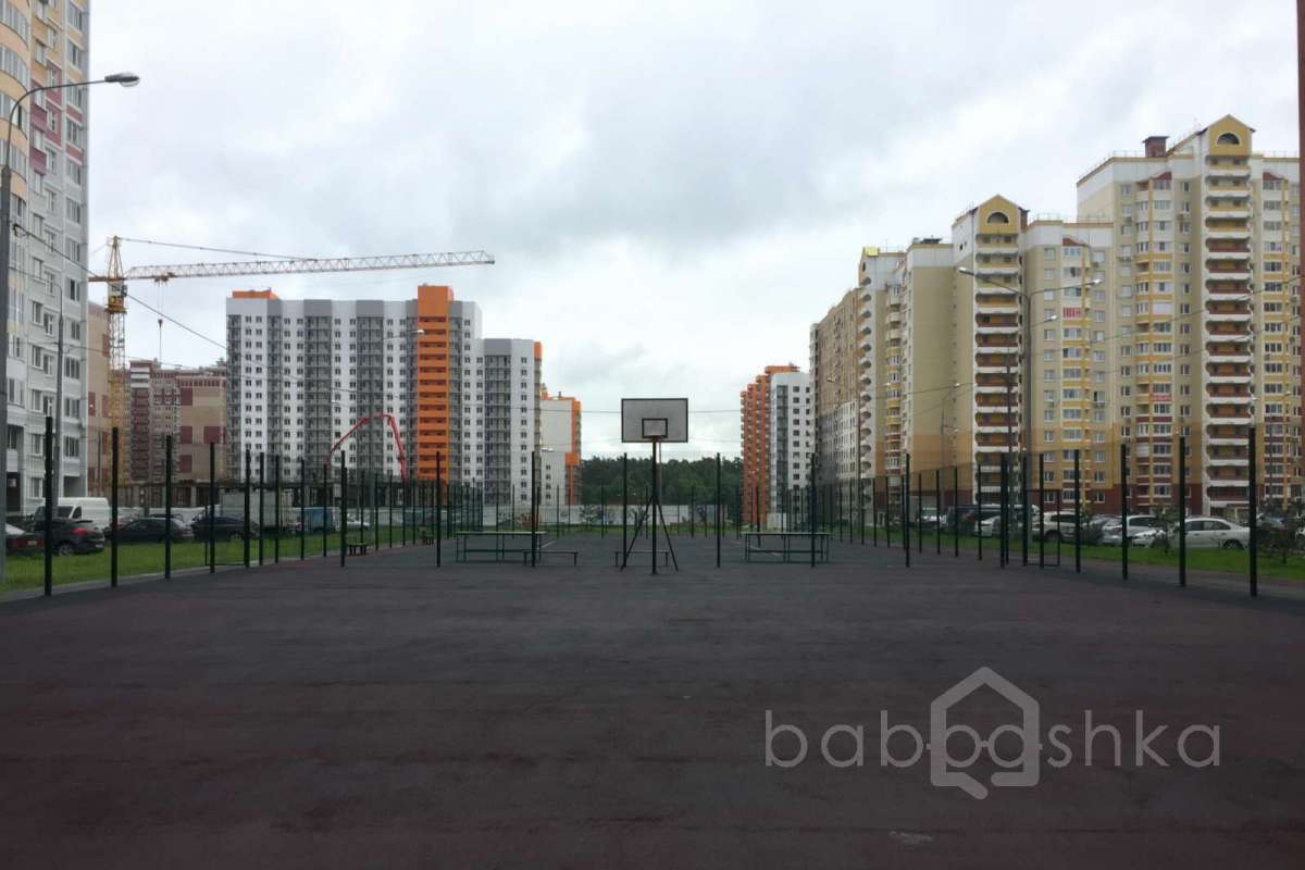 IMG_2229 территория 