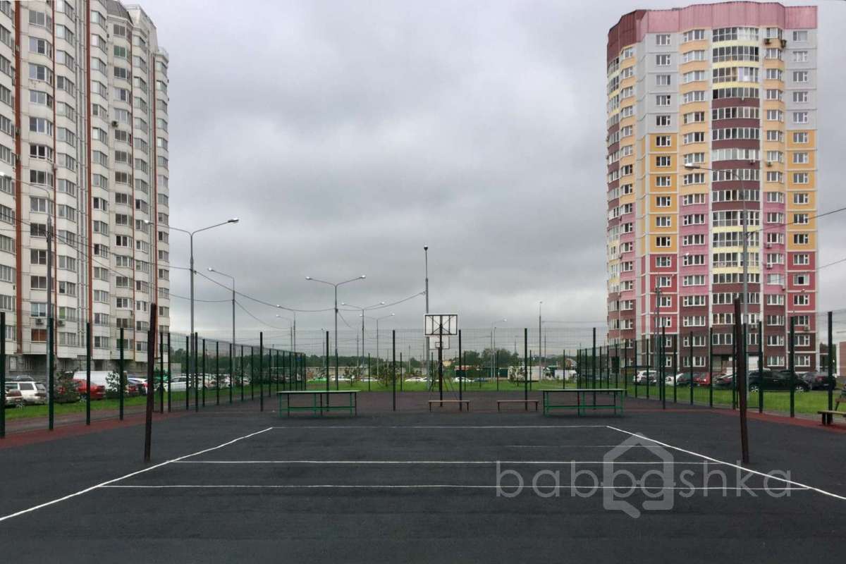 IMG_2236 территория 