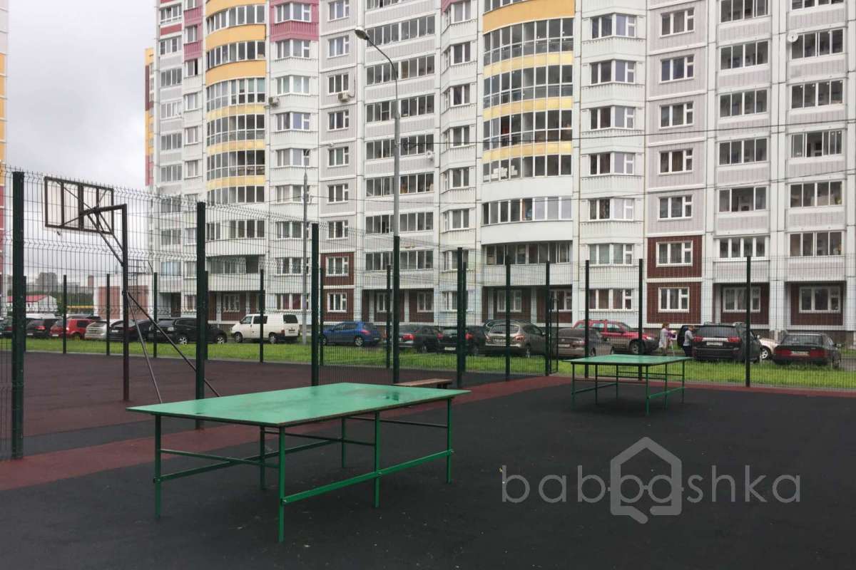 IMG_2235 территория 